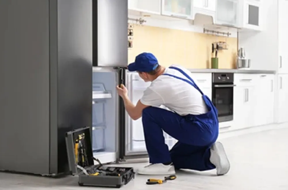 Reparation-Depannage-LG-Frigo-Americain-Lave-Linge-Micro-Onde-a-Domicile-Paris